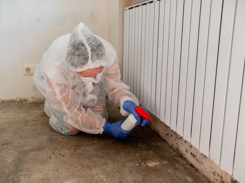Black Mold Remediation in Boca Raton, FL