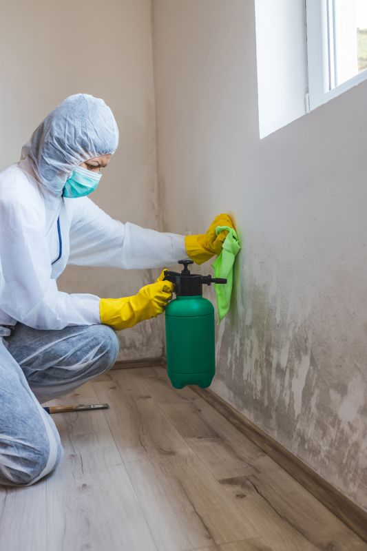 Crawl Space Mold Removal in Boca Raton, FL