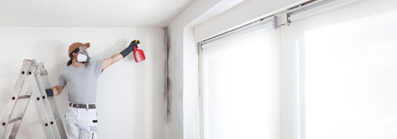 Garage Mold Remediation in Jupiter, FL