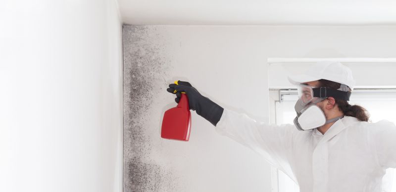Mold Mitigation Service in Boca Raton, FL