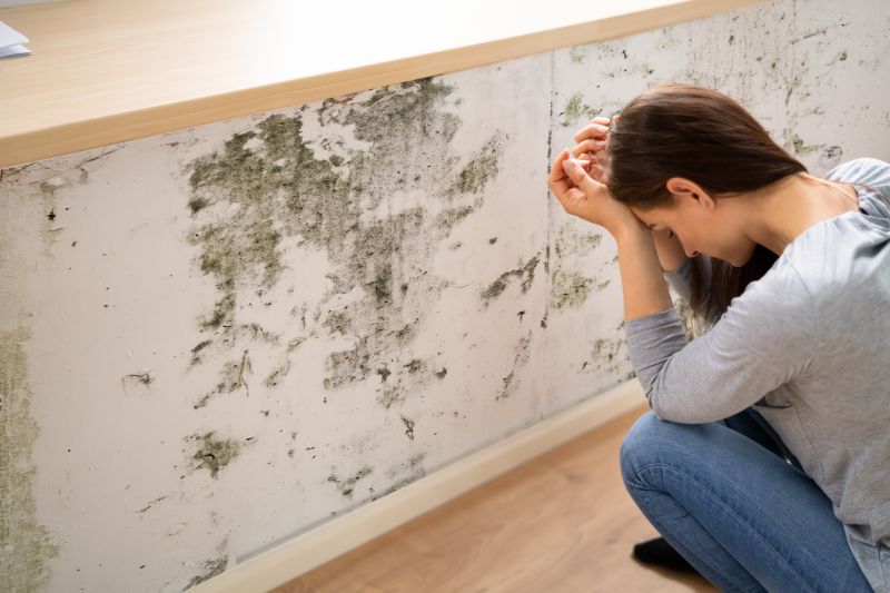 Mold Assessment