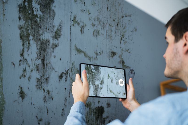 Mold Assessment