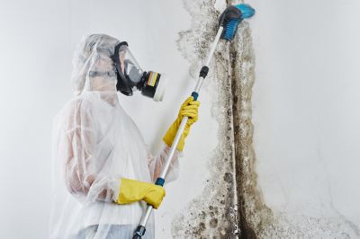 Air Duct Mold Removal in Bergen County, NJ