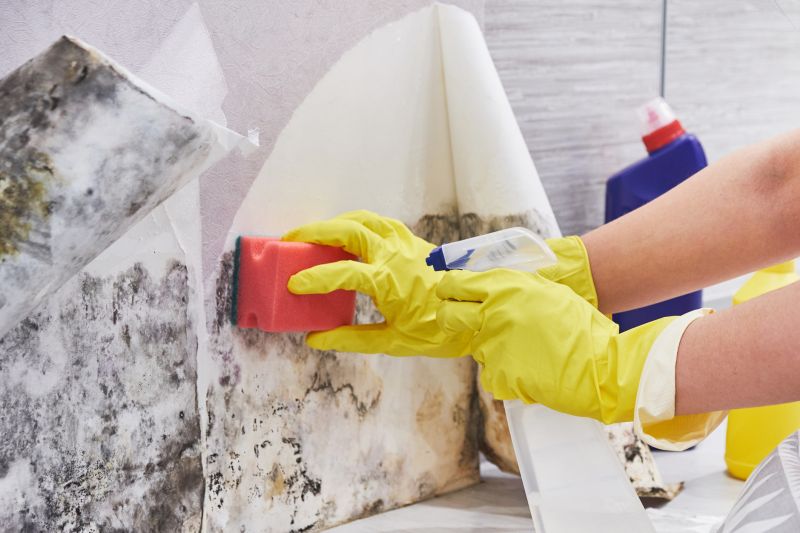 Basement Mold Remediation in Essex County, NJ
