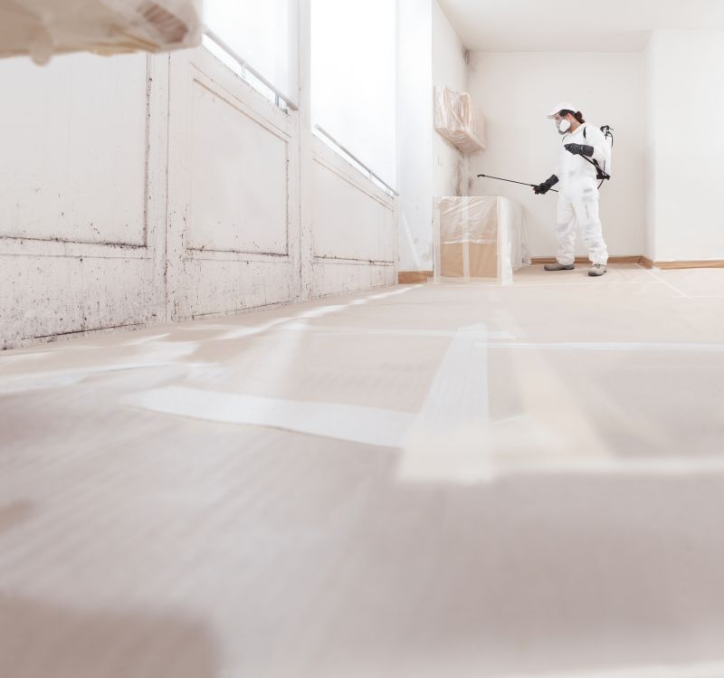 Black Mold Remediation in West Palm Beach, FL