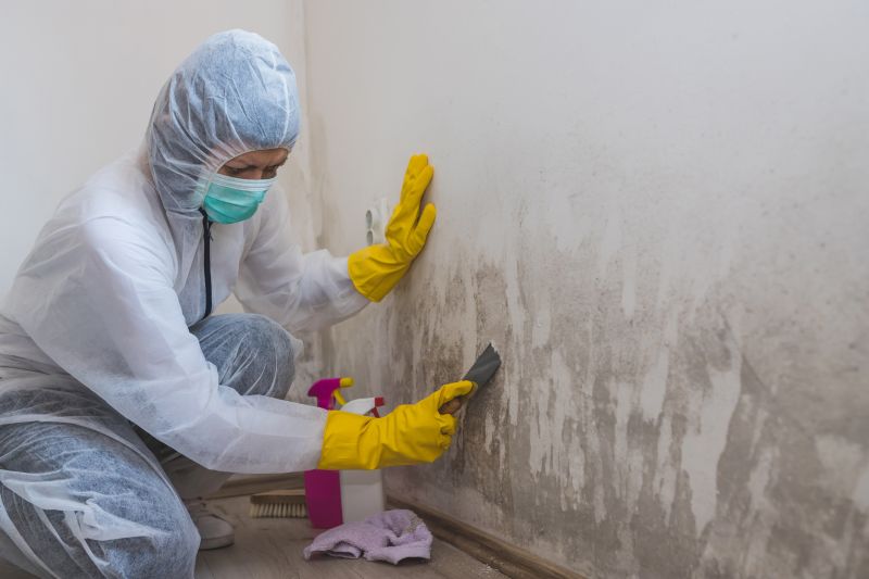 Crawlspace Mold Remediation in Essex County, NJ