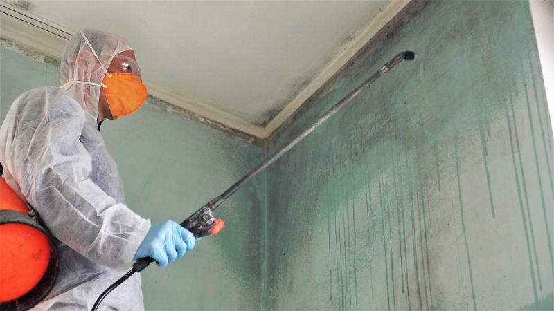 Mold Abatement Service in Fort Lauderdale, FL