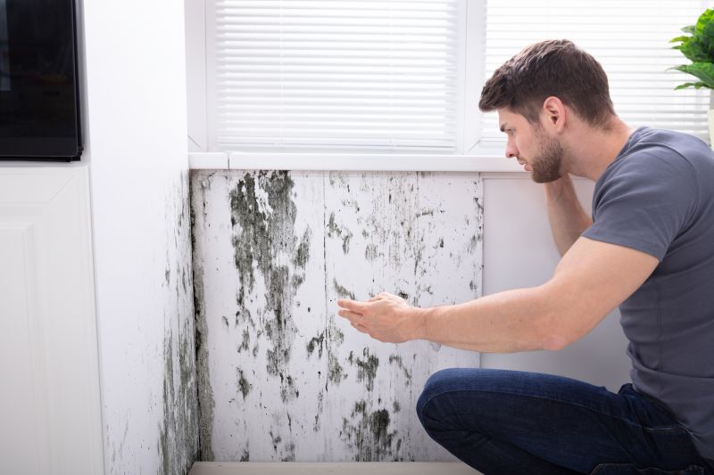 Mold Assessment