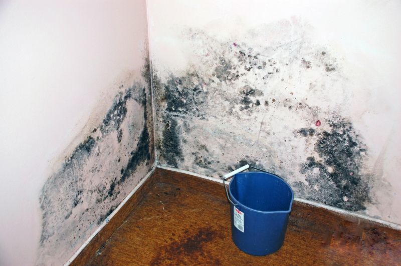 Common Mold Sources