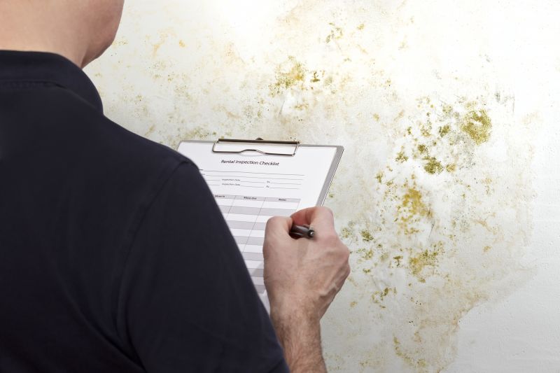 Indoor Mold Inspection