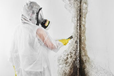 Mold Inspection And Removal in Weatherford, TX