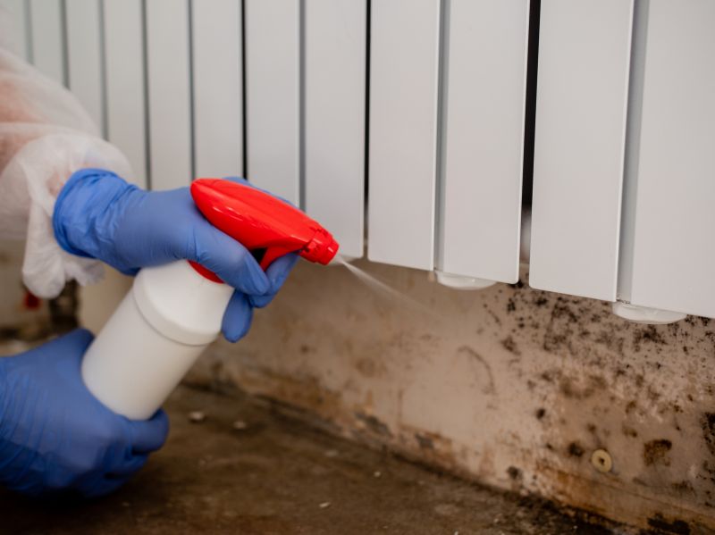 Mold Remediation Service in West Palm Beach, FL