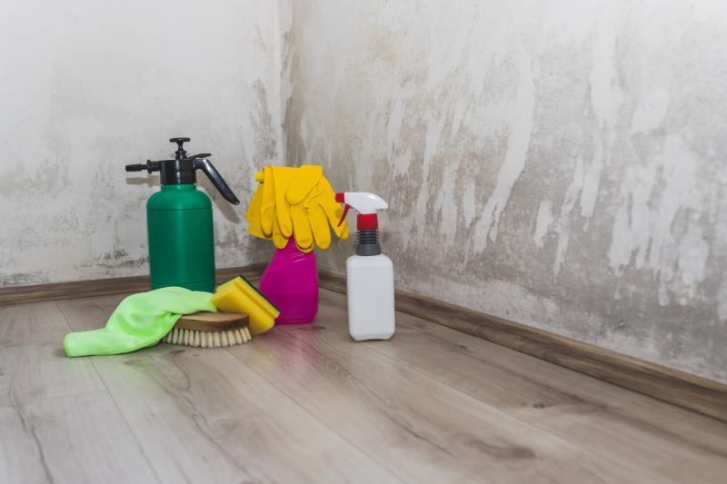 Mold Treatment Service in Bergen County, NJ