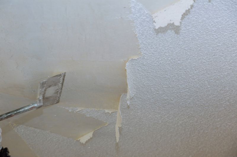 Vermiculite Removal Service in Freehold, NJ
